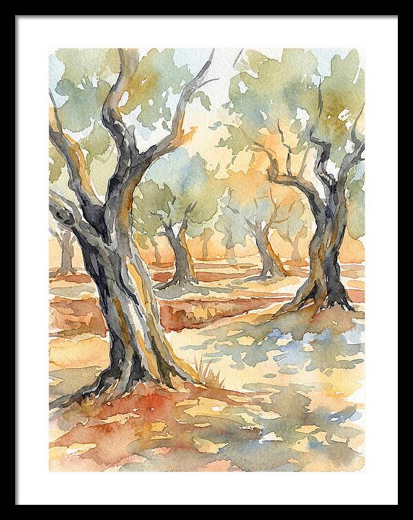 Tranquil Olive Grove