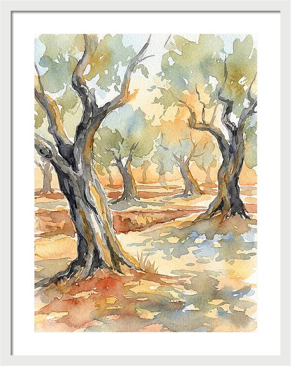 Tranquil Olive Grove