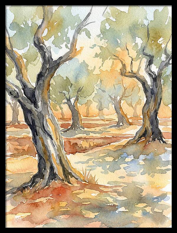 Tranquil Olive Grove