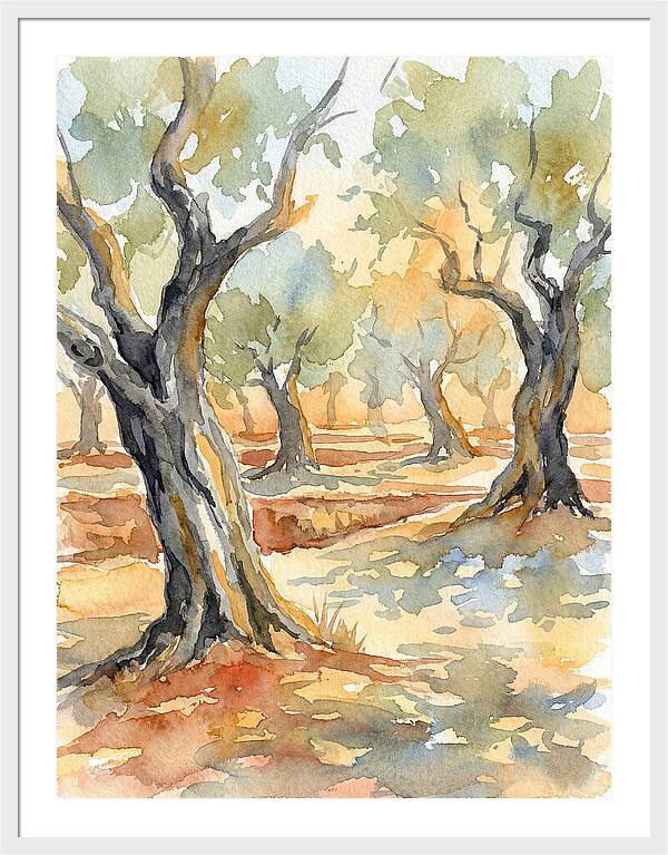 Tranquil Olive Grove