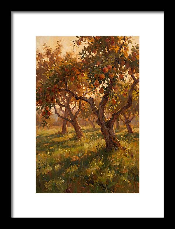 Tranquil Orchard Evening