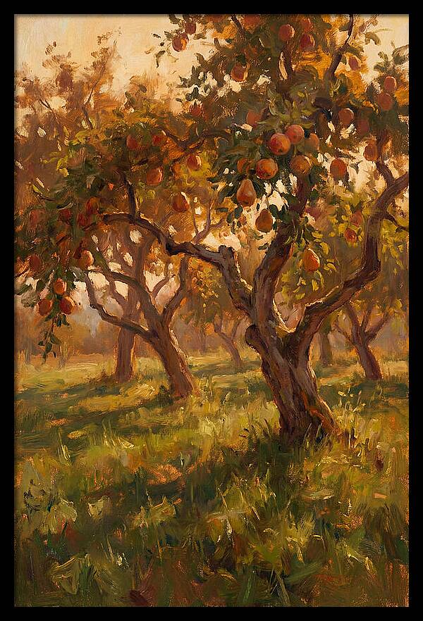 Tranquil Orchard Evening
