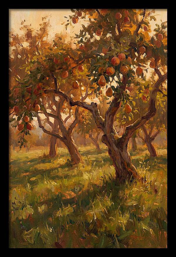 Tranquil Orchard Evening