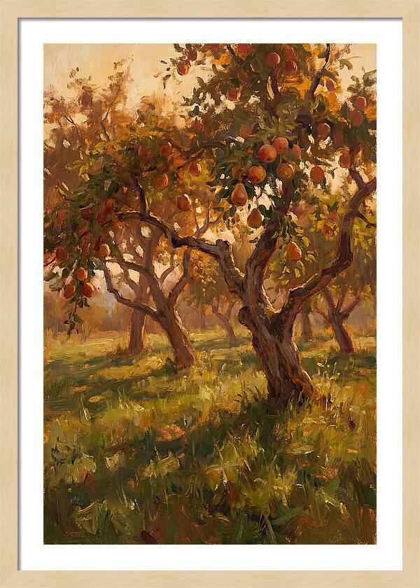 Tranquil Orchard Evening