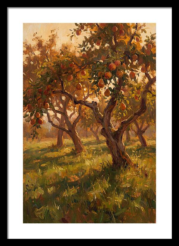 Tranquil Orchard Evening