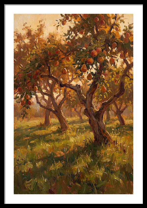Tranquil Orchard Evening