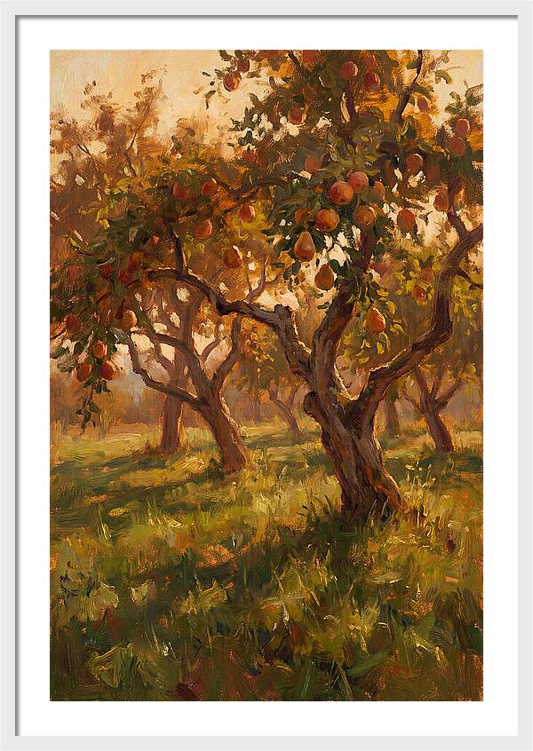 Tranquil Orchard Evening