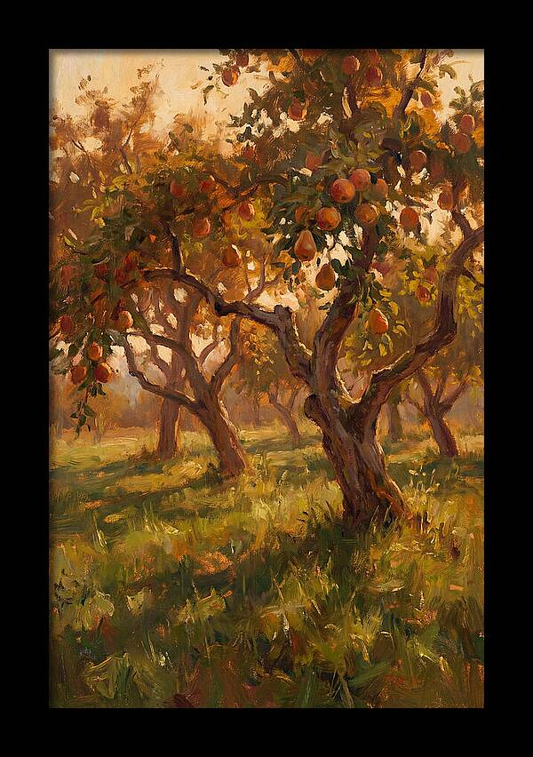 Tranquil Orchard Evening