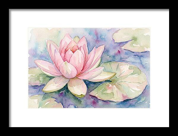 Tranquil Pink Lotus Bloom