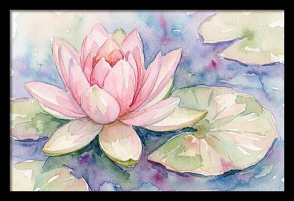 Tranquil Pink Lotus Bloom