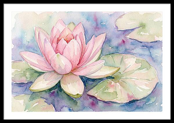 Tranquil Pink Lotus Bloom