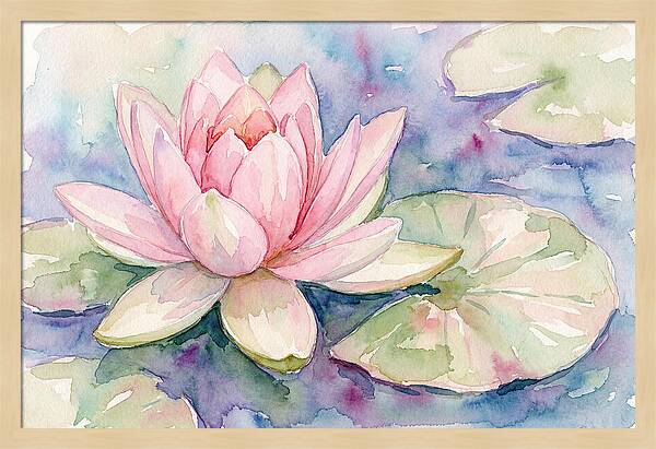 Tranquil Pink Lotus Bloom