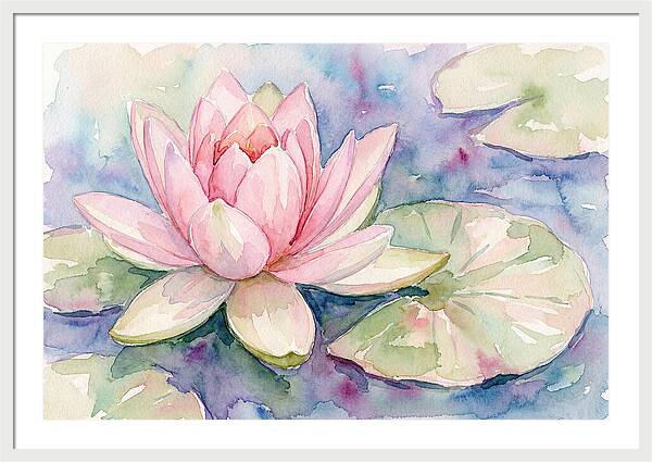Tranquil Pink Lotus Bloom