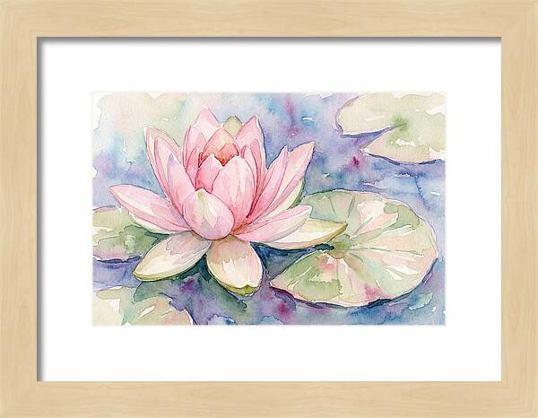 Tranquil Pink Lotus Bloom