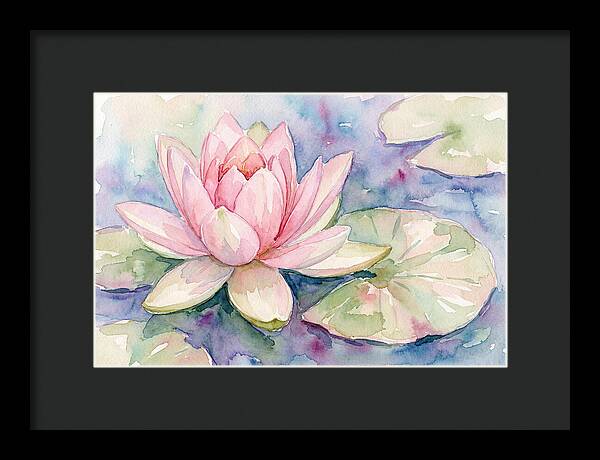 Tranquil Pink Lotus Bloom
