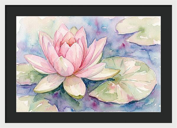 Tranquil Pink Lotus Bloom