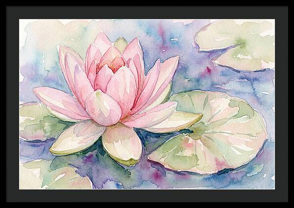 Tranquil Pink Lotus Bloom