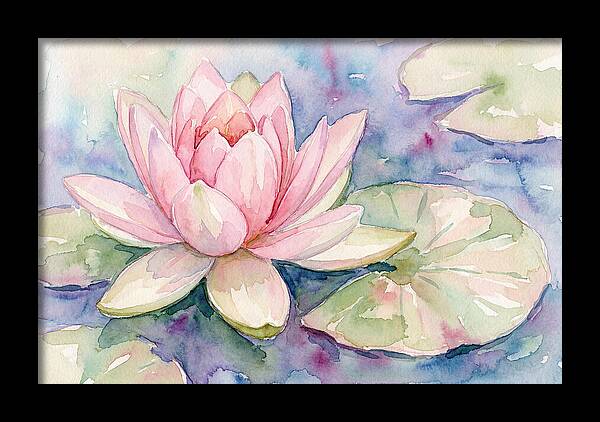 Tranquil Pink Lotus Bloom