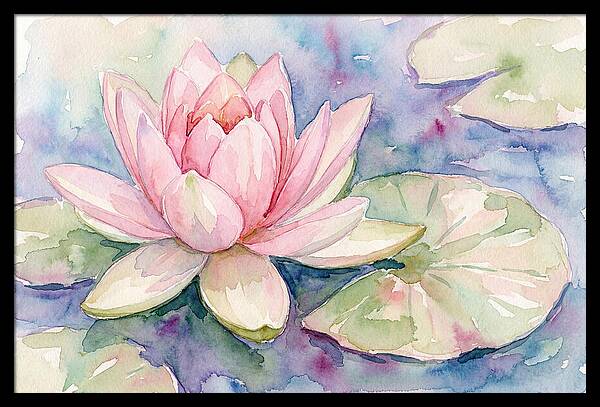 Tranquil Pink Lotus Bloom