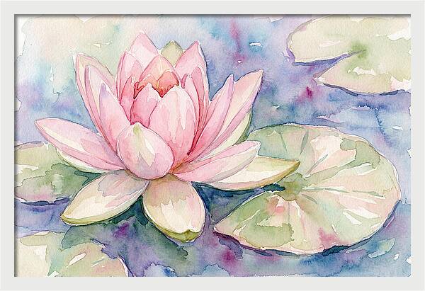 Tranquil Pink Lotus Bloom
