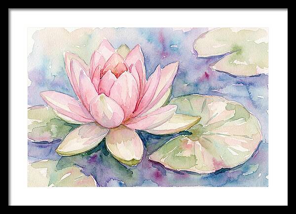 Tranquil Pink Lotus Bloom