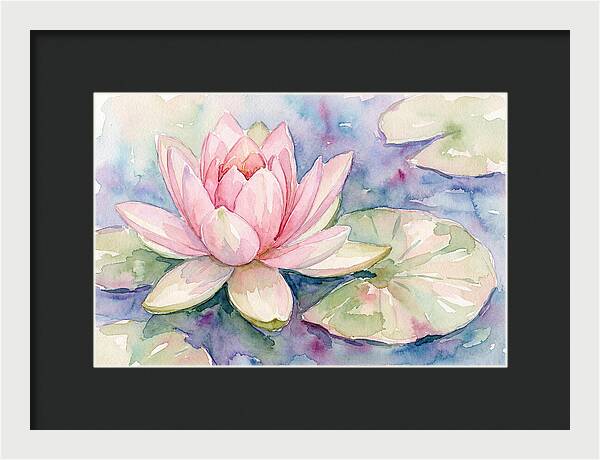 Tranquil Pink Lotus Bloom