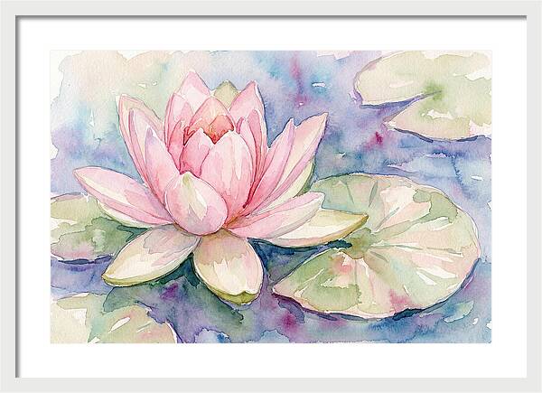 Tranquil Pink Lotus Bloom