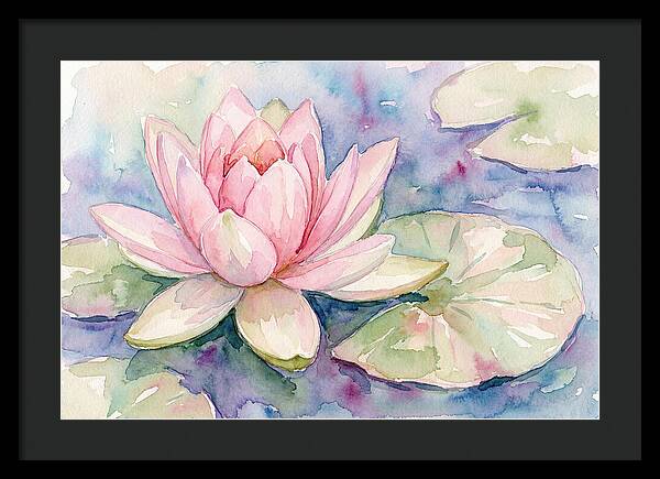 Tranquil Pink Lotus Bloom