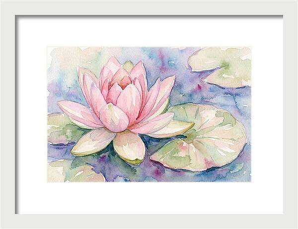 Tranquil Pink Lotus Bloom