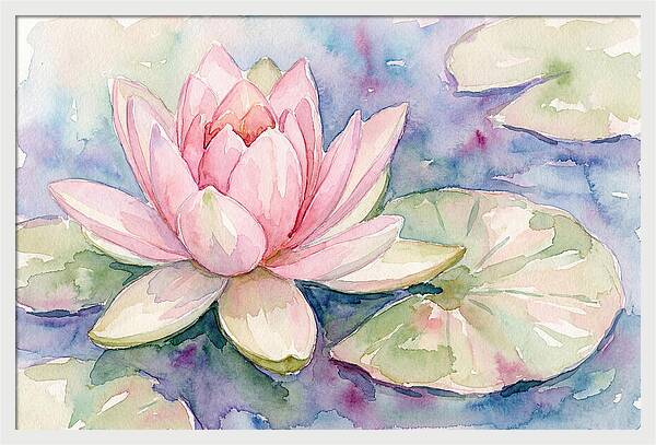 Tranquil Pink Lotus Bloom