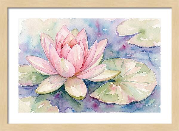 Tranquil Pink Lotus Bloom