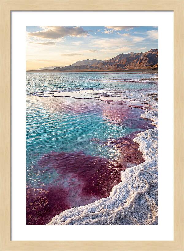 Tranquil Reflections At Great Salt Lake