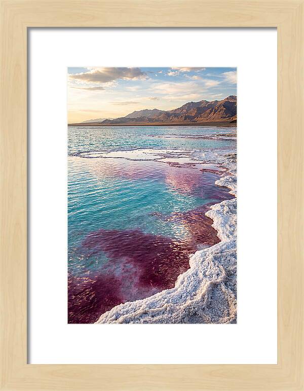 Tranquil Reflections At Great Salt Lake