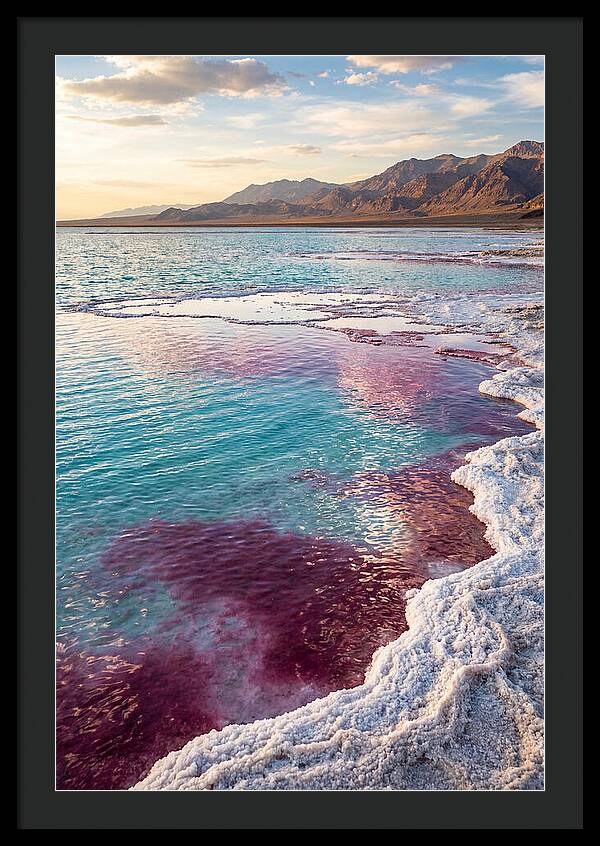 Tranquil Reflections At Great Salt Lake