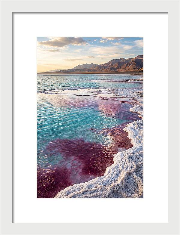 Tranquil Reflections At Great Salt Lake