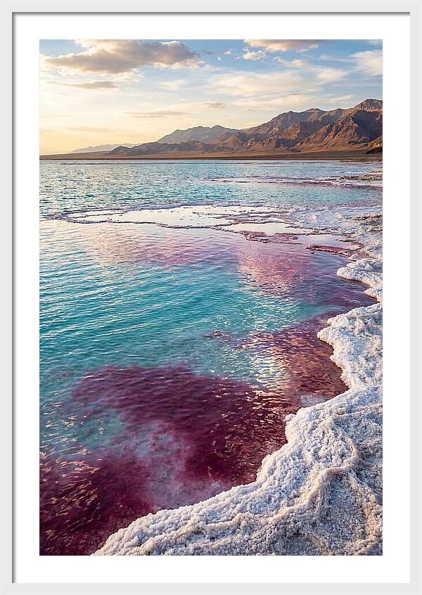 Tranquil Reflections At Great Salt Lake