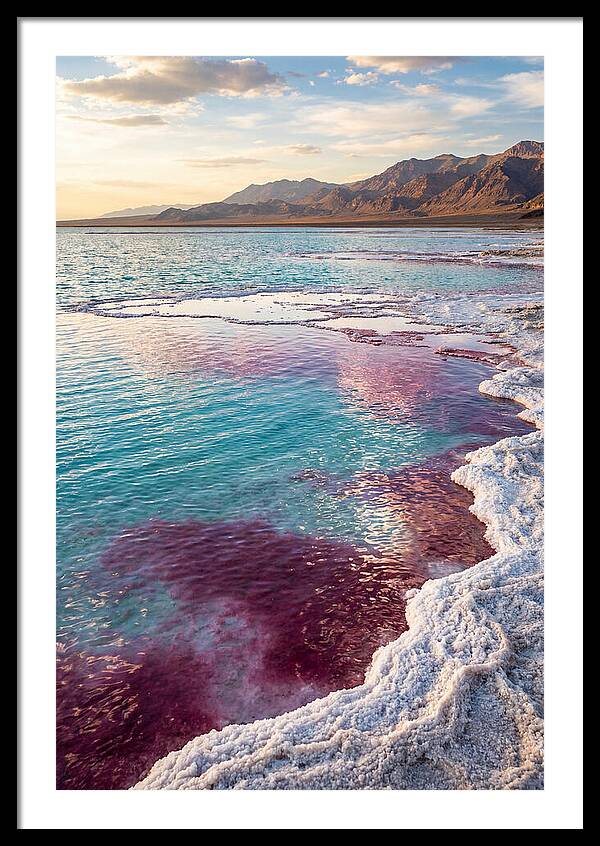 Tranquil Reflections At Great Salt Lake