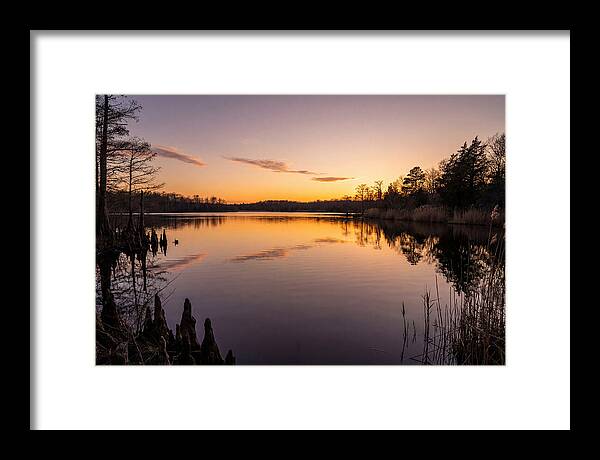 Tranquil Reflections At Killens Pond