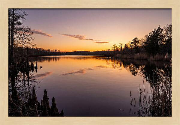 Tranquil Reflections At Killens Pond