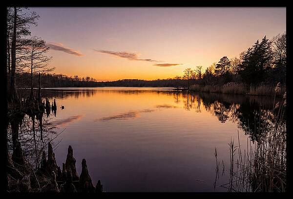 Tranquil Reflections At Killens Pond