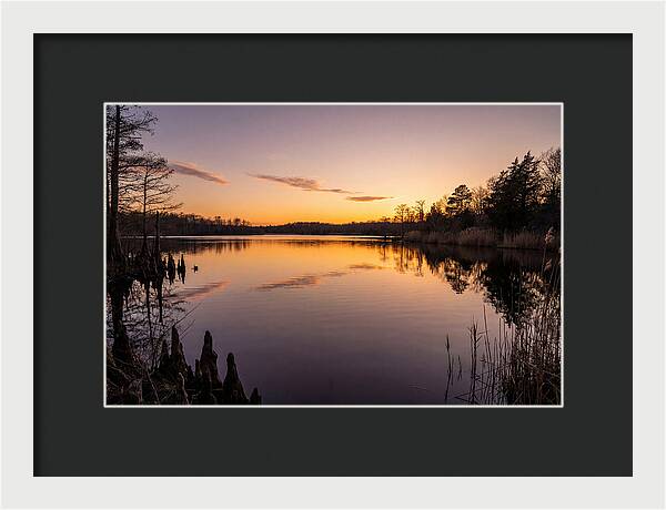 Tranquil Reflections At Killens Pond