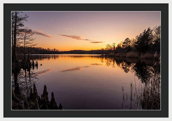 Tranquil Reflections At Killens Pond