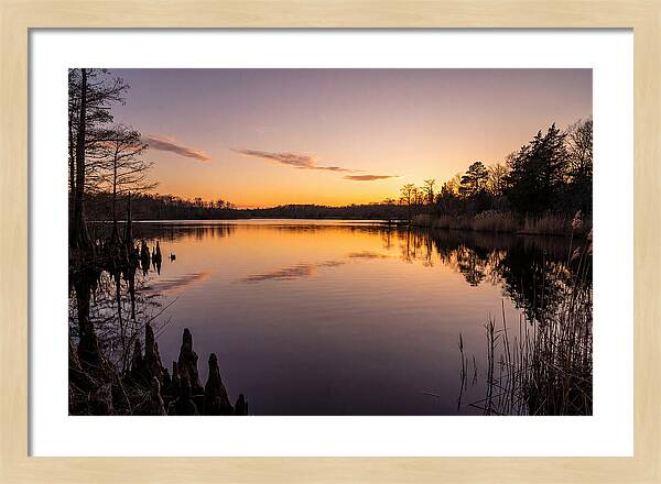 Tranquil Reflections At Killens Pond