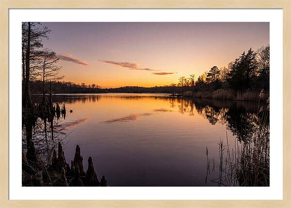 Tranquil Reflections At Killens Pond