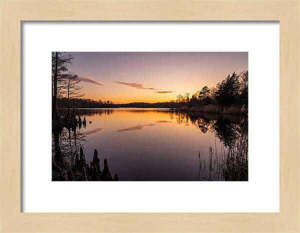 Tranquil Reflections At Killens Pond