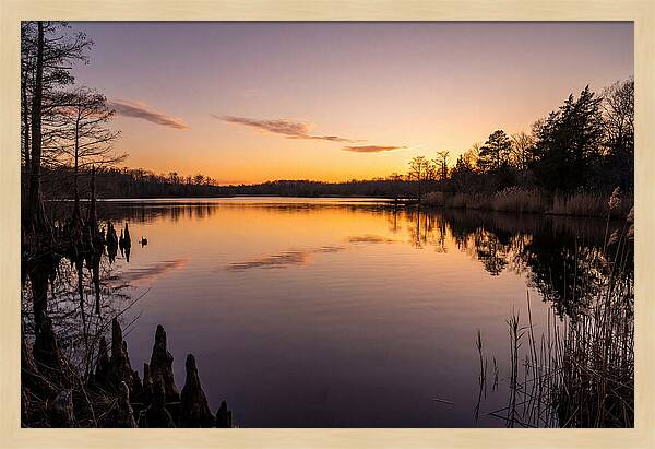 Tranquil Reflections At Killens Pond
