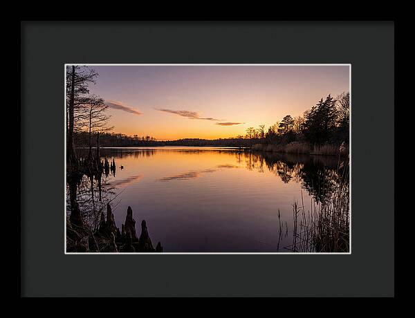 Tranquil Reflections At Killens Pond