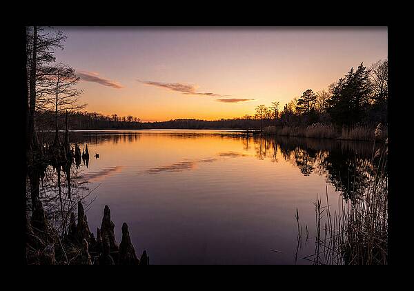 Tranquil Reflections At Killens Pond