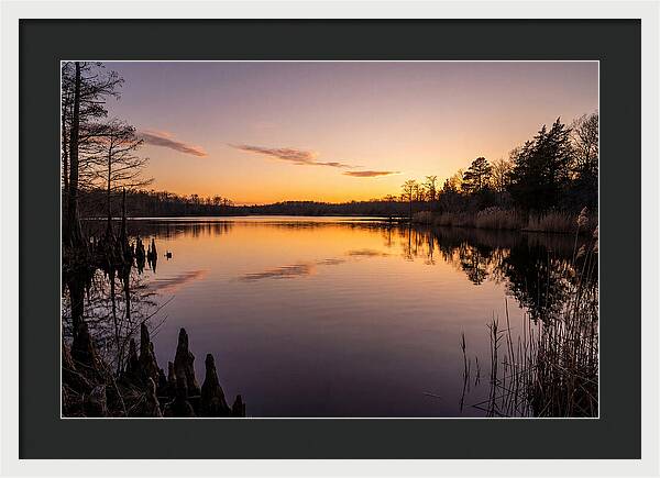 Tranquil Reflections At Killens Pond