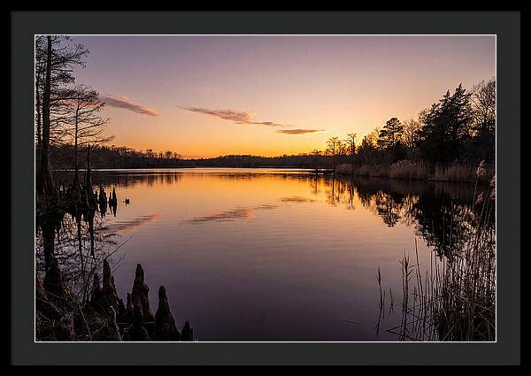 Tranquil Reflections At Killens Pond